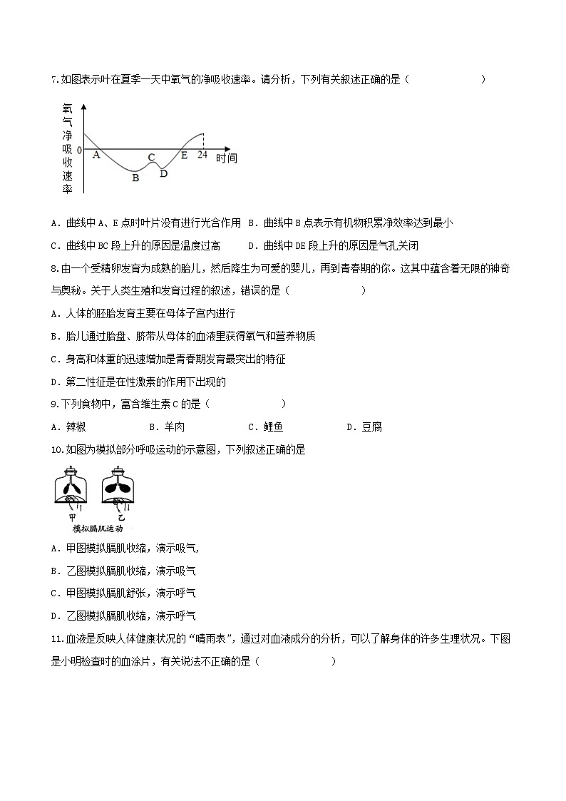 初中生物中考复习 黄金卷4-【赢在中考·黄金八卷】备战2022年中考生物全真模拟卷（全国通用）（原卷版）第2页