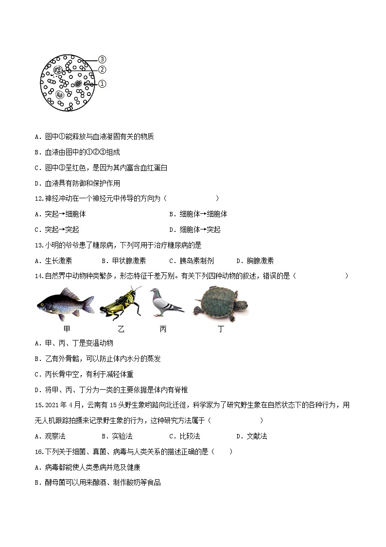 初中生物中考复习 黄金卷4-【赢在中考·黄金八卷】备战2022年中考生物全真模拟卷（全国通用）（原卷版）第3页