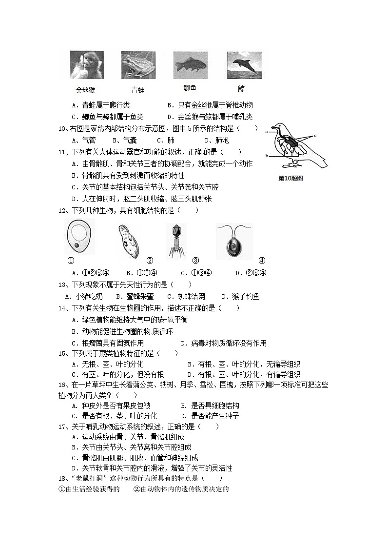 初中生物中考复习 江苏省泰州市2019年中考生物模拟题第2页