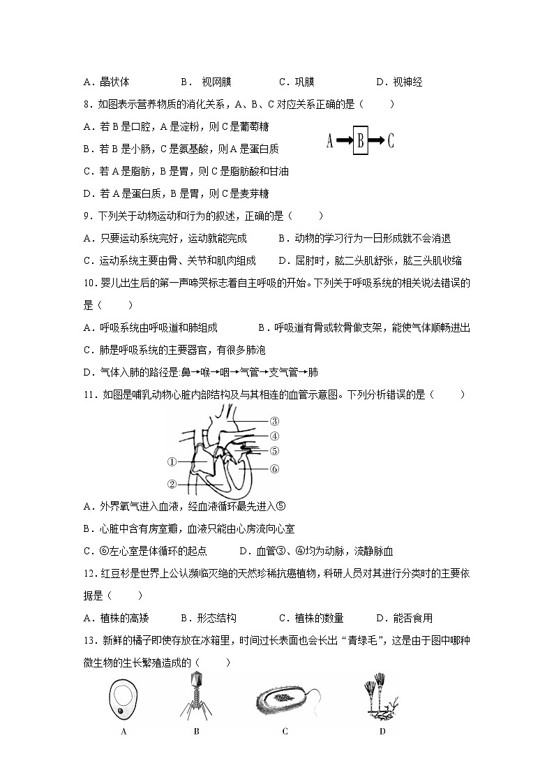 初中生物中考复习 江西省2021年初中学业水平考试生物模拟试卷（三）第2页