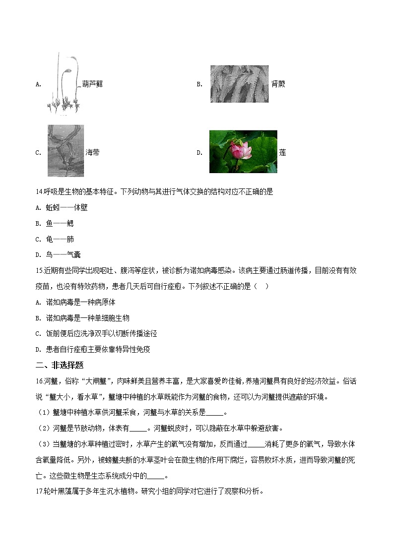 初中生物中考复习 精品解析：2018年北京市东城区九年级二模生物试题（原卷版）第3页