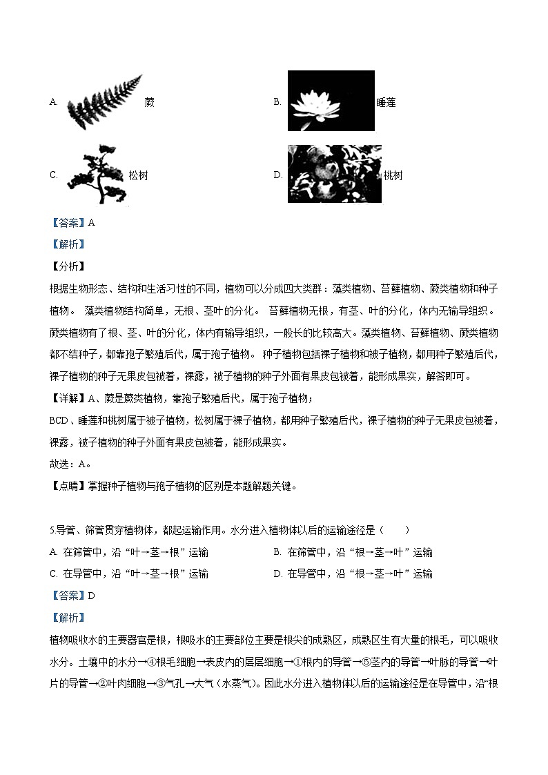 初中生物中考复习 精品解析：2018年北京市房山区中考二模生物试卷（解析版）03