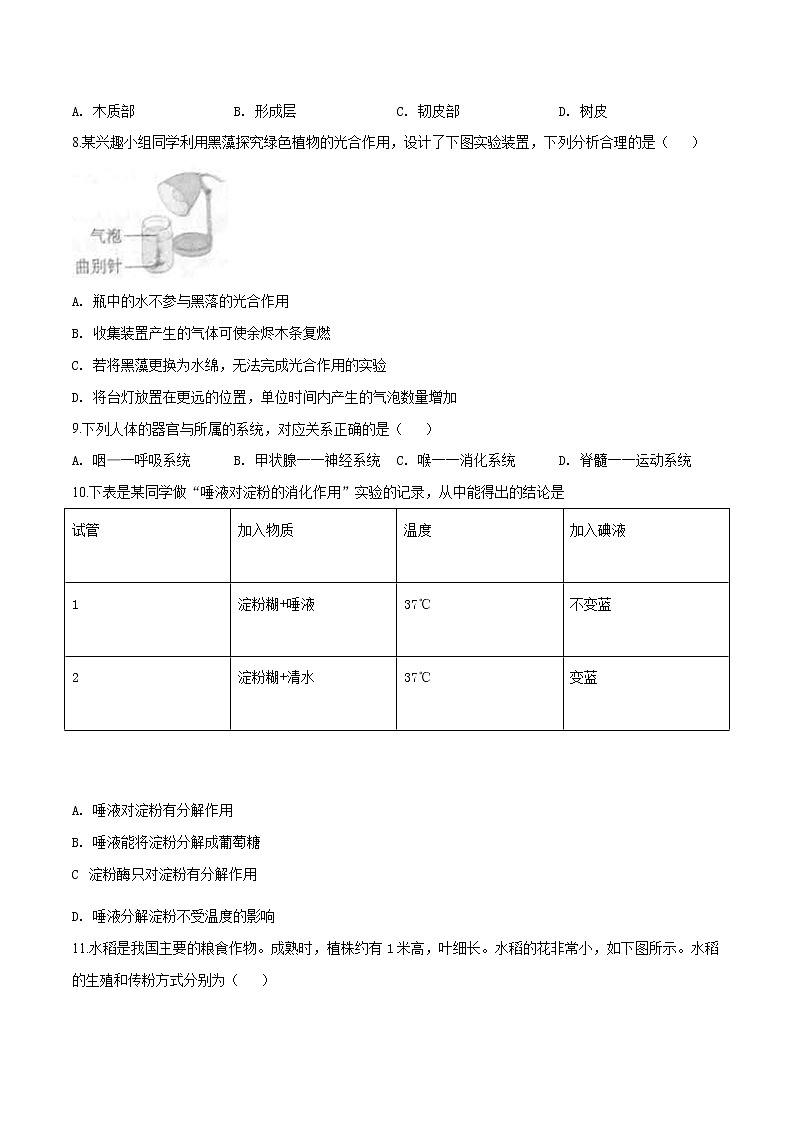 初中生物中考复习 精品解析：2019年北京市丰台区九年级二模生物试题（原卷版）第2页