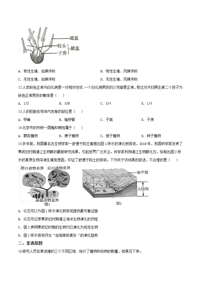 初中生物中考复习 精品解析：2019年北京市丰台区九年级二模生物试题（原卷版）第3页