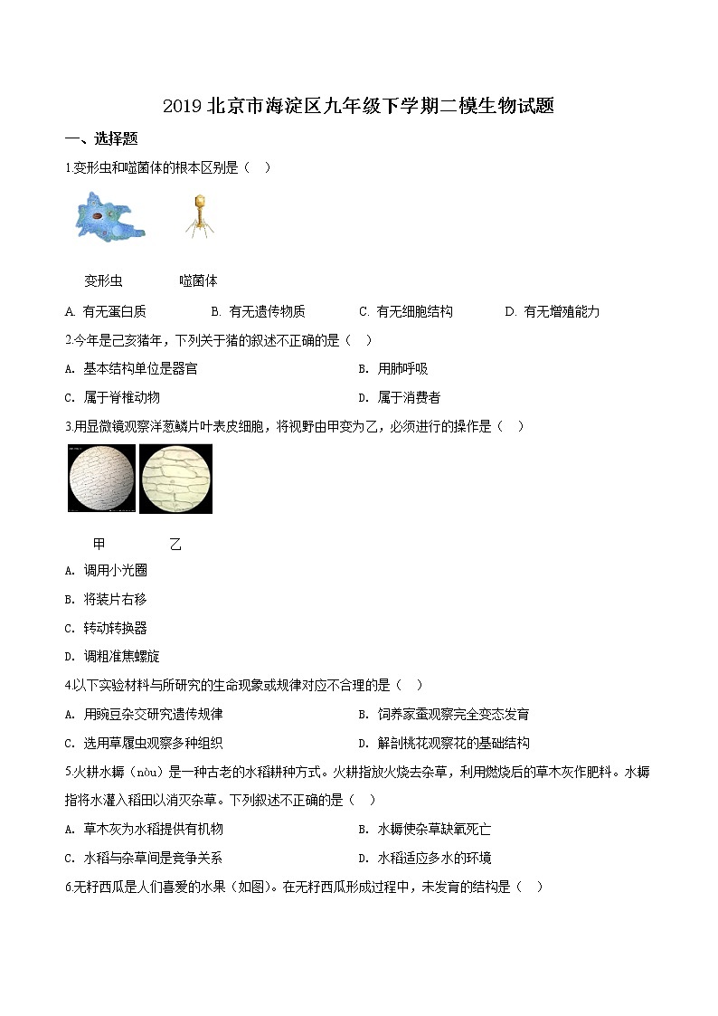 初中生物中考复习 精品解析：2019年北京市海淀区九年级下学期二模生物试题（原卷版）第1页