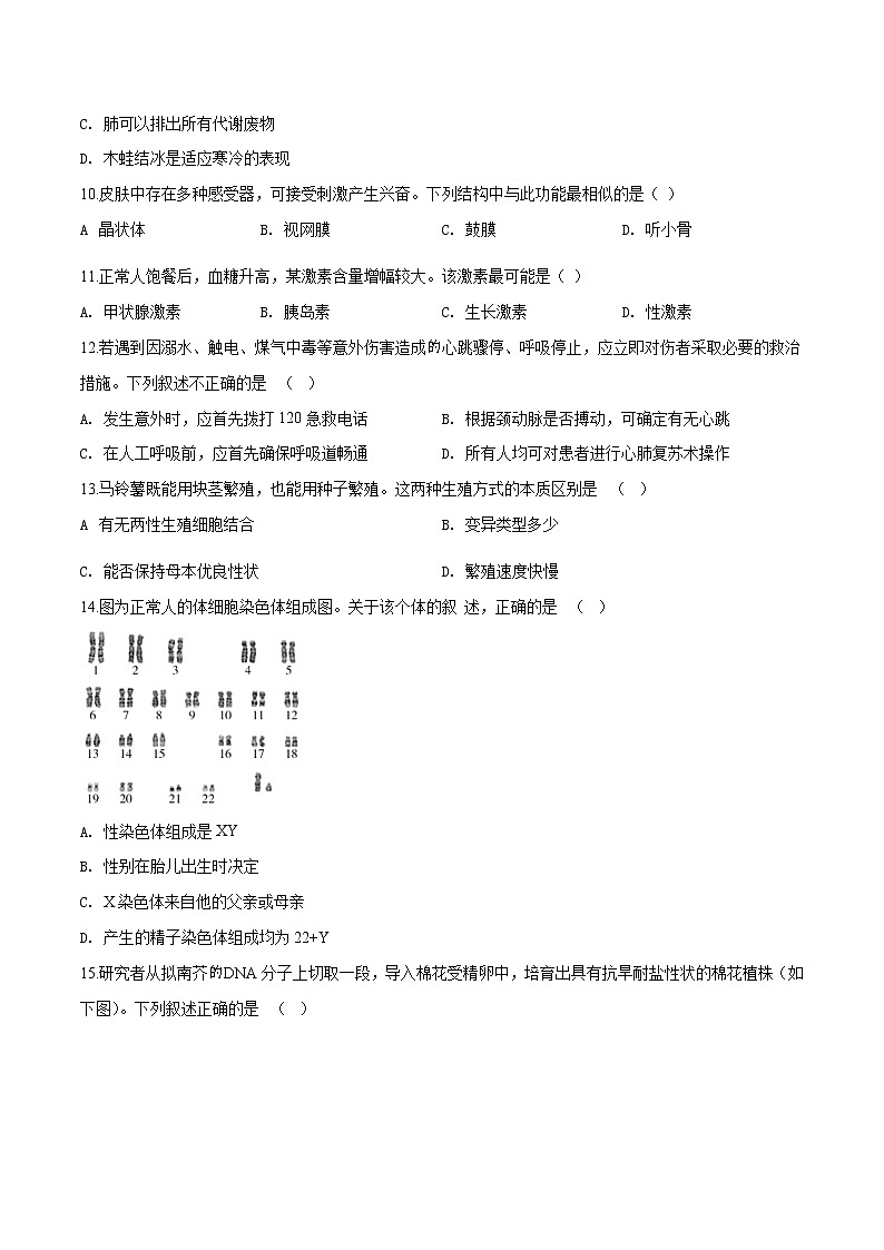初中生物中考复习 精品解析：2019年北京市海淀区九年级下学期二模生物试题（原卷版）第3页