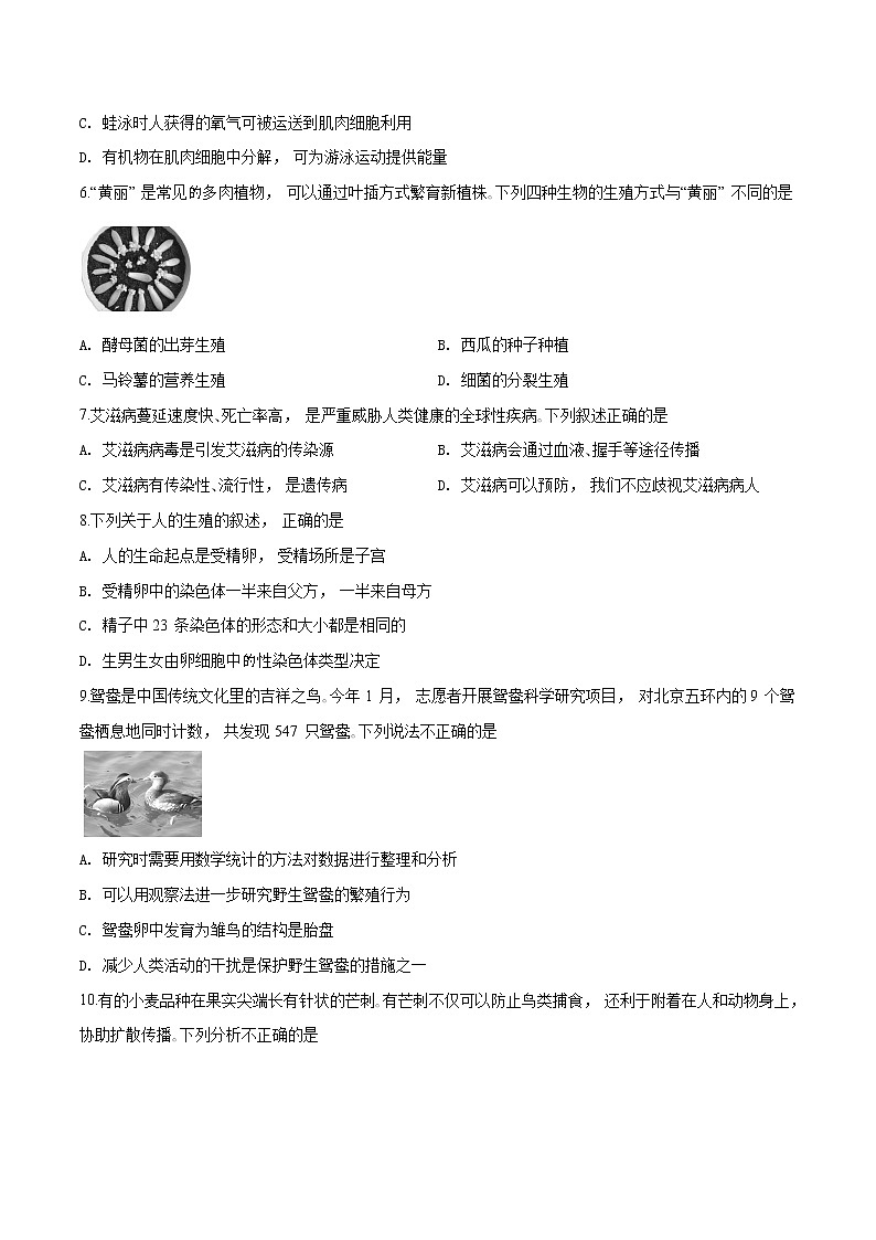 初中生物中考复习 精品解析：2019年北京市西城区九年级5月模拟测试（二模）生物试题（原卷版）02
