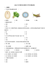 初中生物中考复习 精品解析：2021年天津市红桥区学考生物试题（原卷版）