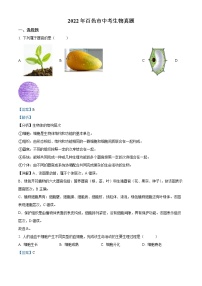 初中生物中考复习 精品解析：2022年百色市中考生物真题（解析版）