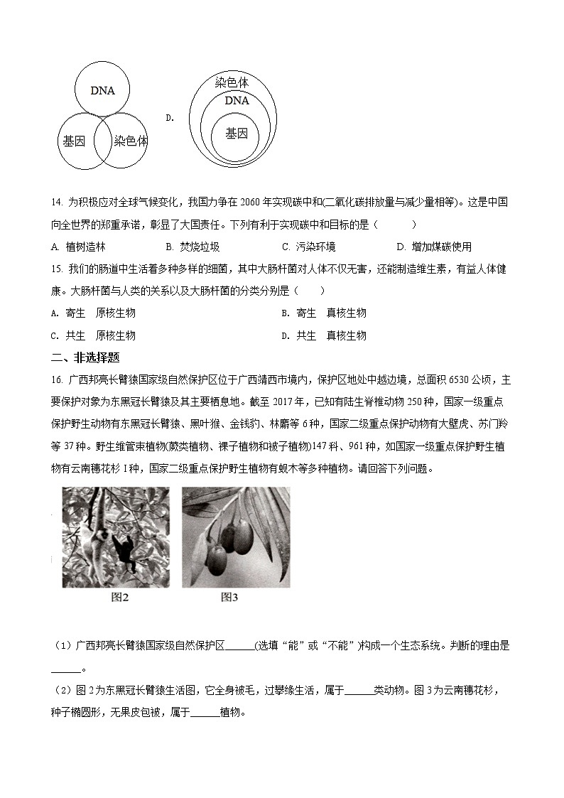 初中生物中考复习 精品解析：2022年百色市中考生物真题（原卷版）第3页