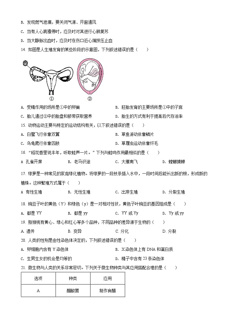 初中生物中考复习 精品解析：2022年广东省中考生物真题（原卷版）03