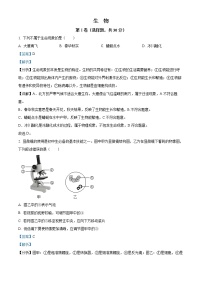 初中生物中考复习 精品解析：2022年广西贺州市中考生物真题（解析版）