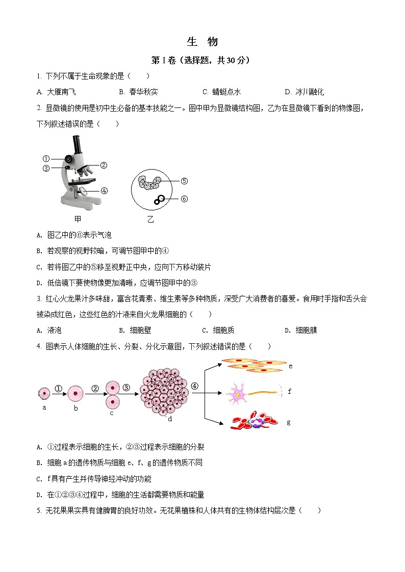 初中生物中考复习 精品解析：2022年广西贺州市中考生物真题（原卷版）01