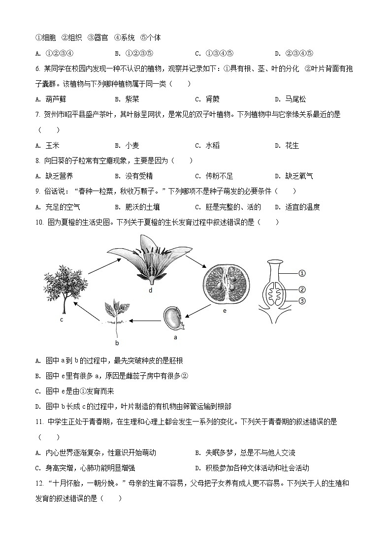 初中生物中考复习 精品解析：2022年广西贺州市中考生物真题（原卷版）02