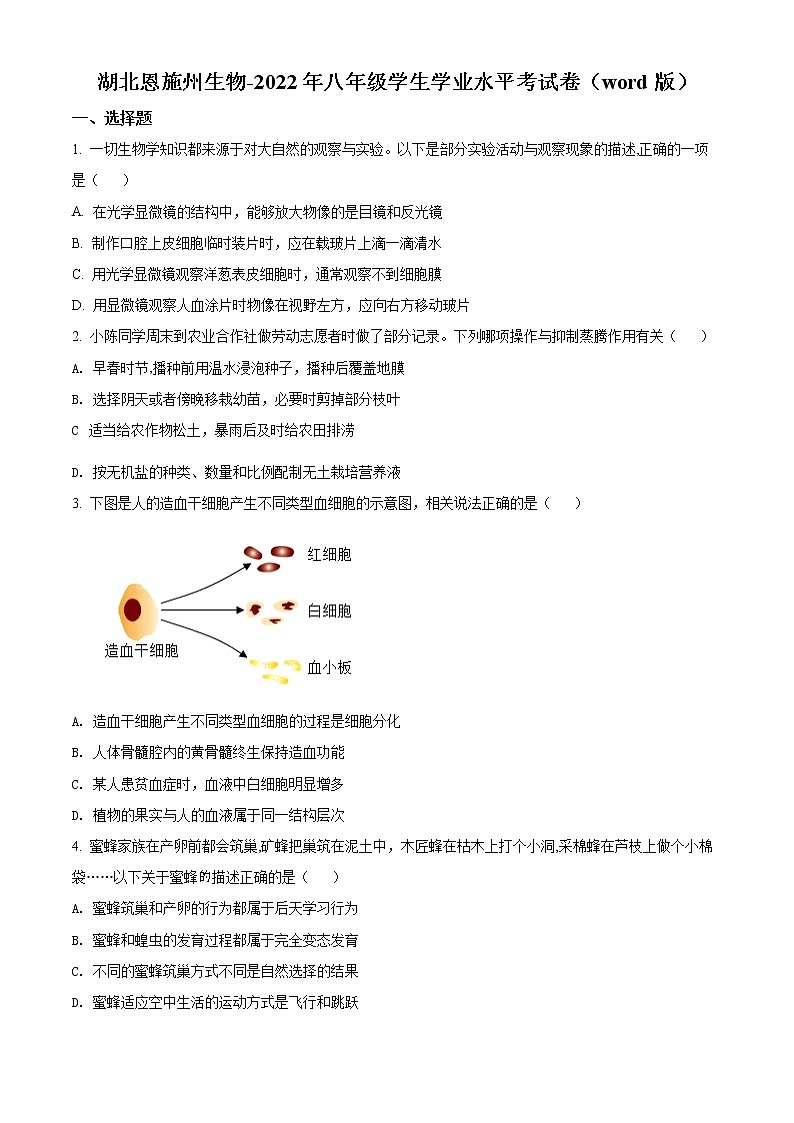 初中生物中考复习 精品解析：2022年湖北省恩施州中考生物真题（原卷版）第1页