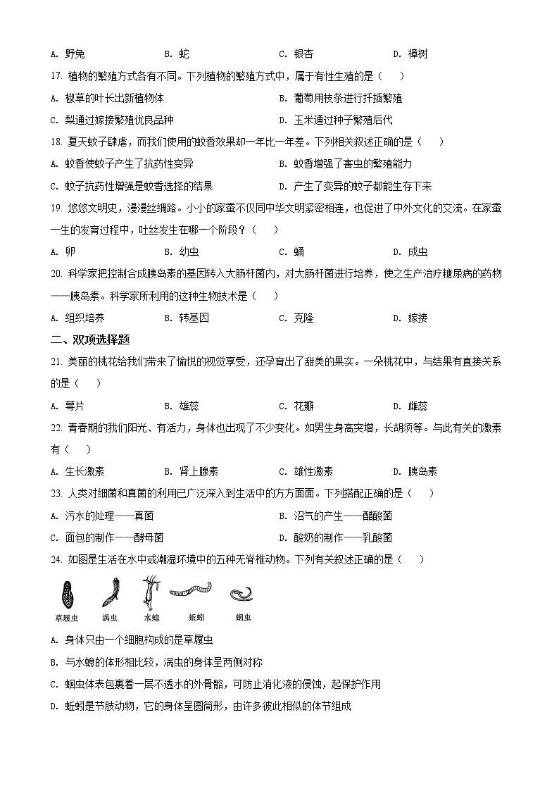 初中生物中考复习 精品解析：2022年湖南省衡阳市中考生物真题（原卷版）03