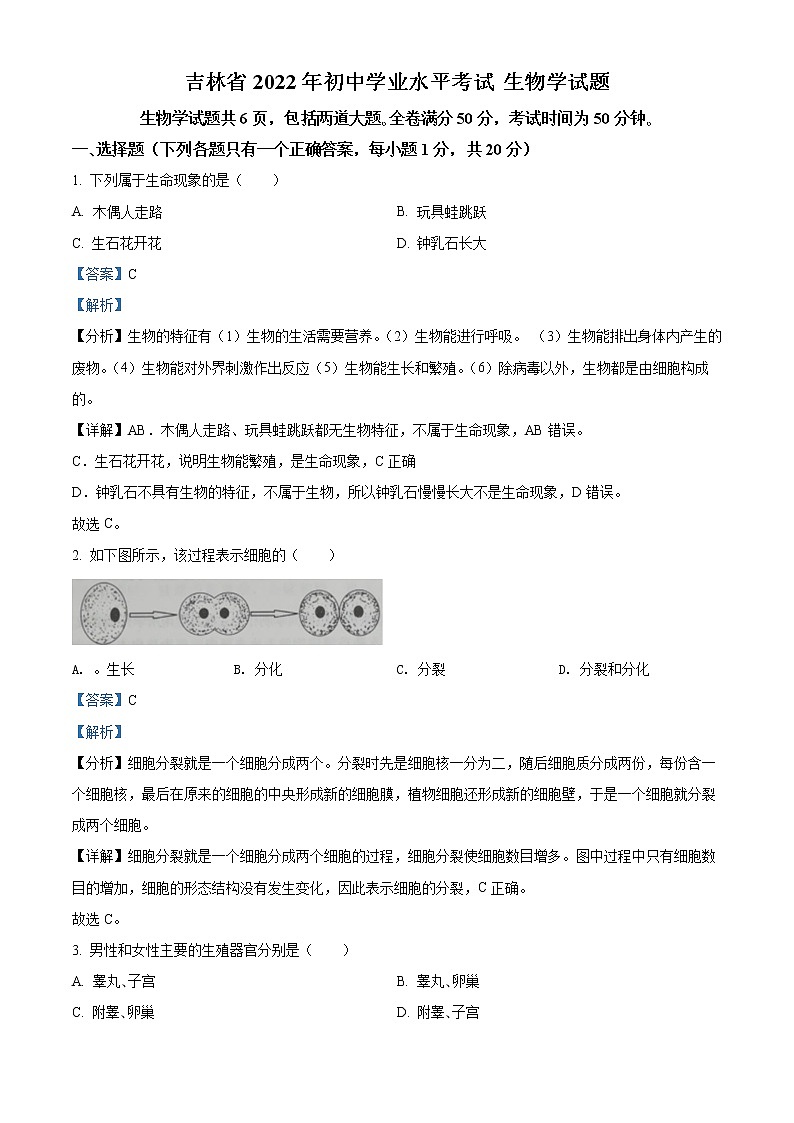 初中生物中考复习 精品解析：2022年吉林省大安市中考生物真题（解析版）01