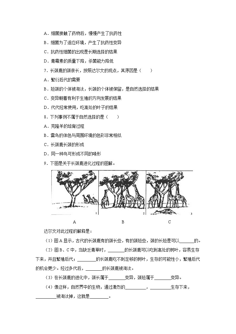 初中生物中考复习 初中生物实验突破（通用版）：模拟保护色的形成过程课后作业第2页