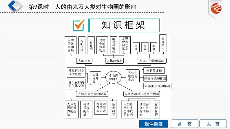 初中生物中考复习 第9单元　人的由来及人类对生物圈的影响课件PPT03