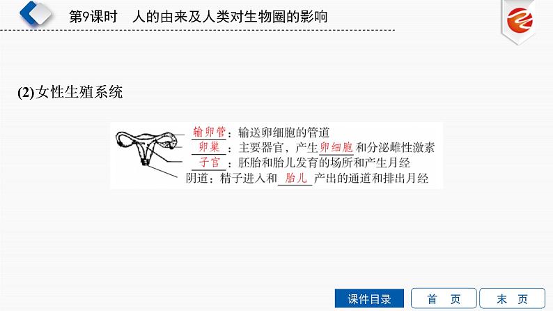 初中生物中考复习 第9单元　人的由来及人类对生物圈的影响课件PPT07