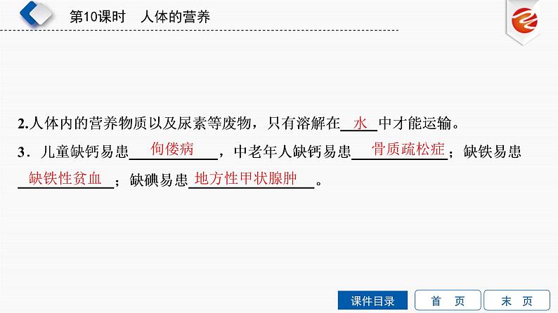 初中生物中考复习 第10单元　人体的营养课件PPT04