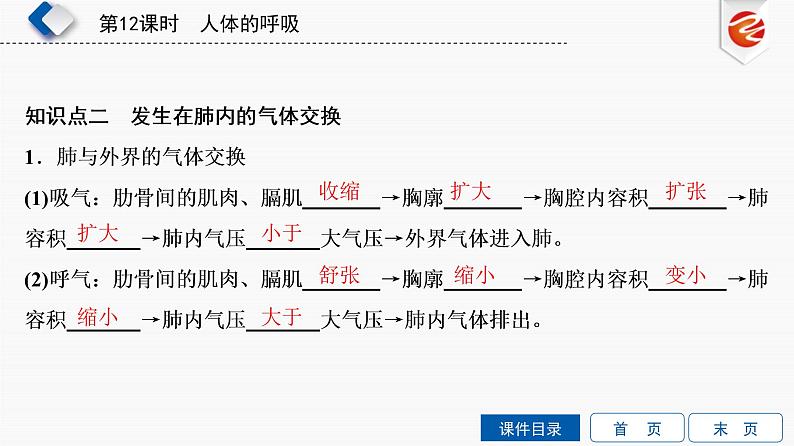 初中生物中考复习 第12单元　人体的呼吸课件PPT第5页