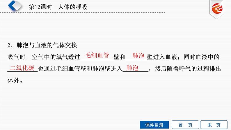 初中生物中考复习 第12单元　人体的呼吸课件PPT第6页
