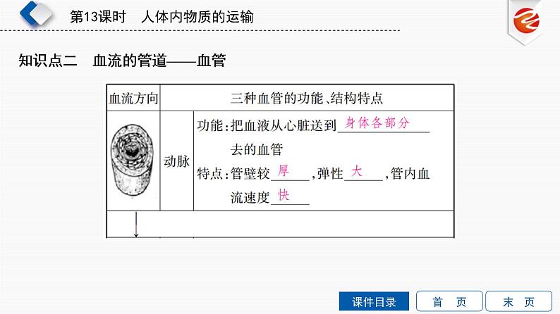 初中生物中考复习 第13单元　人体内物质的运输课件PPT06