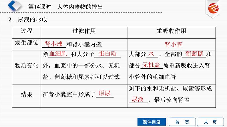 初中生物中考复习 第14单元　人体内废物的排出课件PPT06