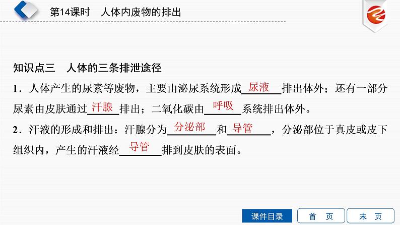 初中生物中考复习 第14单元　人体内废物的排出课件PPT08