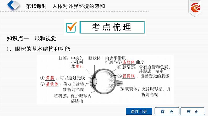 初中生物中考复习 第15单元　人体对外界环境的感知课件PPT第3页