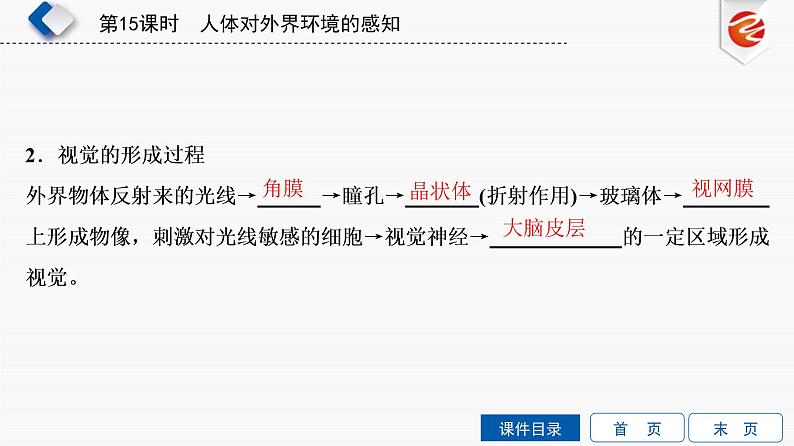 初中生物中考复习 第15单元　人体对外界环境的感知课件PPT第4页