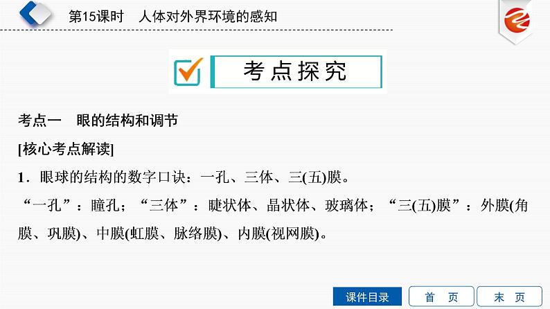 初中生物中考复习 第15单元　人体对外界环境的感知课件PPT第7页