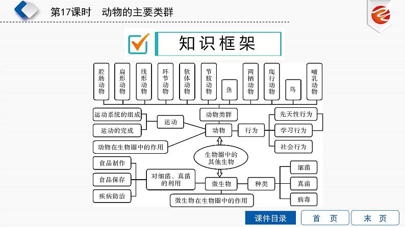 初中生物中考复习 第17单元　动物的主要类群课件PPT第3页