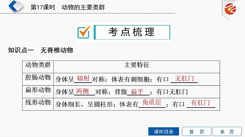 初中生物中考复习 第17单元　动物的主要类群课件PPT第4页