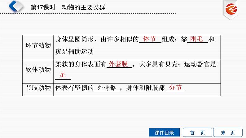 初中生物中考复习 第17单元　动物的主要类群课件PPT第5页