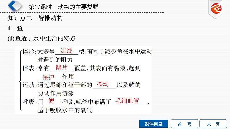 初中生物中考复习 第17单元　动物的主要类群课件PPT第6页