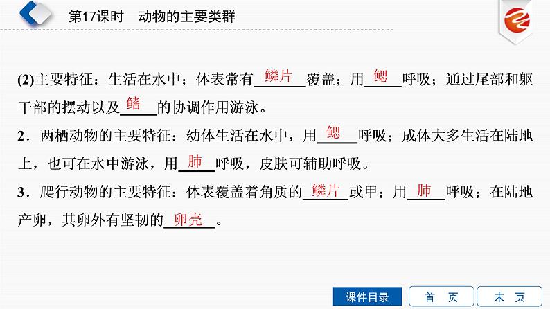 初中生物中考复习 第17单元　动物的主要类群课件PPT第7页