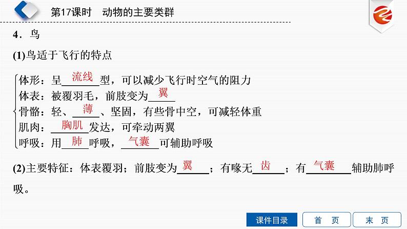 初中生物中考复习 第17单元　动物的主要类群课件PPT第8页