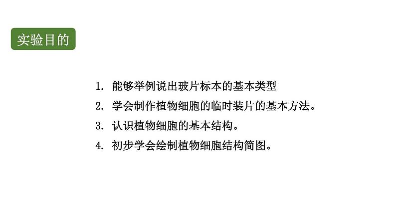 初中生物中考复习 初中生物实验突破（通用版）：制作并观察植物细胞临时装片课件02