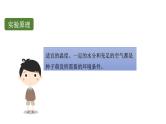 初中生物中考复习 初中生物实验突破（通用版）：种子萌发的环境条件课件