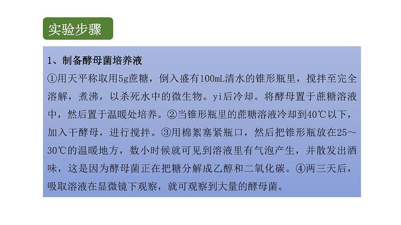 初中生物中考复习 初中生物实验突破（通用版）：观察酵母菌和霉菌课件05