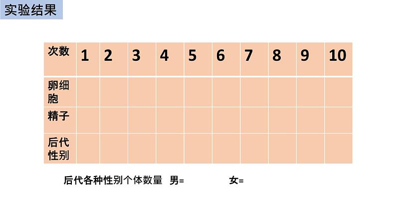 初中生物中考复习 初中生物实验突破（通用版）：精子与卵细胞随机结合的模拟实验课件第6页