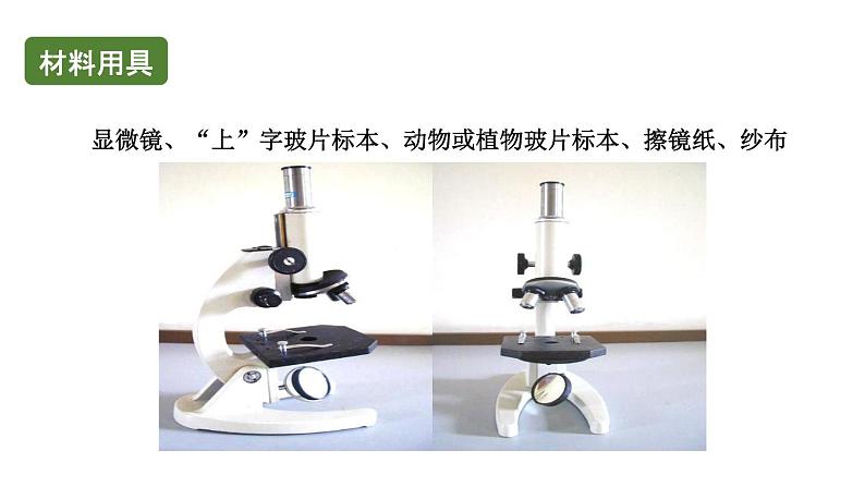 初中生物中考复习 初中生物实验突破（通用版）：练习使用显微镜课件第4页