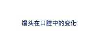 初中生物中考复习 初中生物实验突破（通用版）：馒头在口腔中的变化课件
