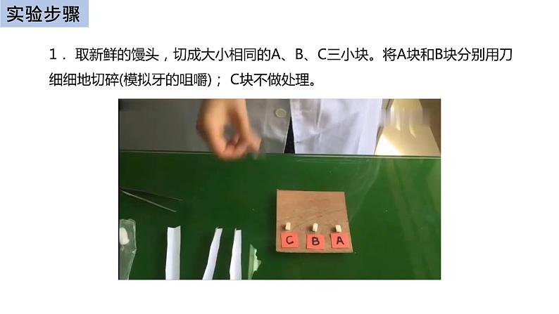 初中生物中考复习 初中生物实验突破（通用版）：馒头在口腔中的变化课件第5页