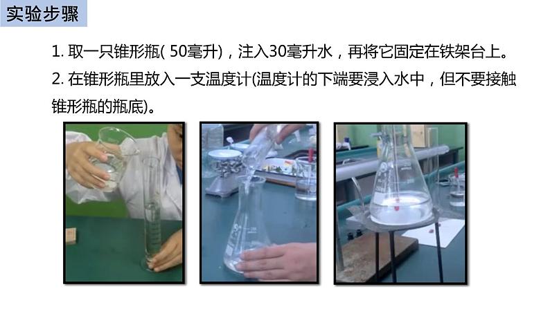 初中生物中考复习 初中生物实验突破（通用版）：食物中的营养物质课件第5页