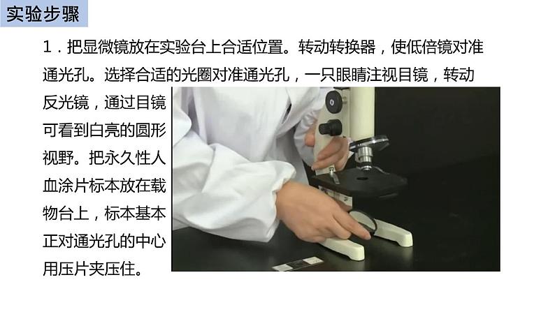 初中生物中考复习 初中生物实验突破（通用版）：用显微镜观察人血的永久涂片课件05