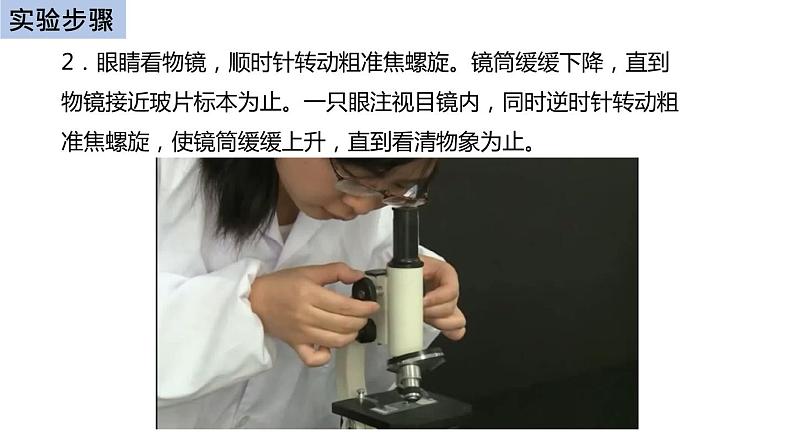 初中生物中考复习 初中生物实验突破（通用版）：用显微镜观察人血的永久涂片课件06