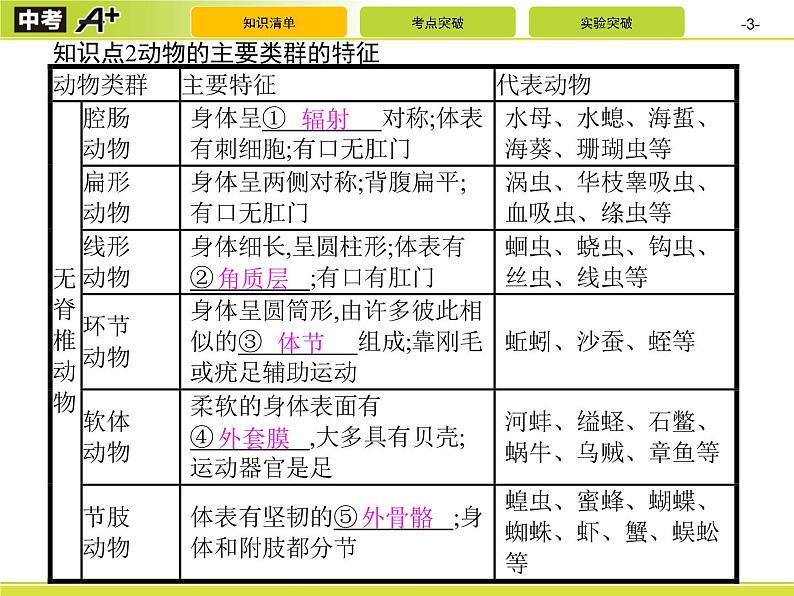 初中生物中考复习 第1讲　动物的主要类群课件PPT第3页